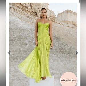 Maria Lucia Hohan Gown
